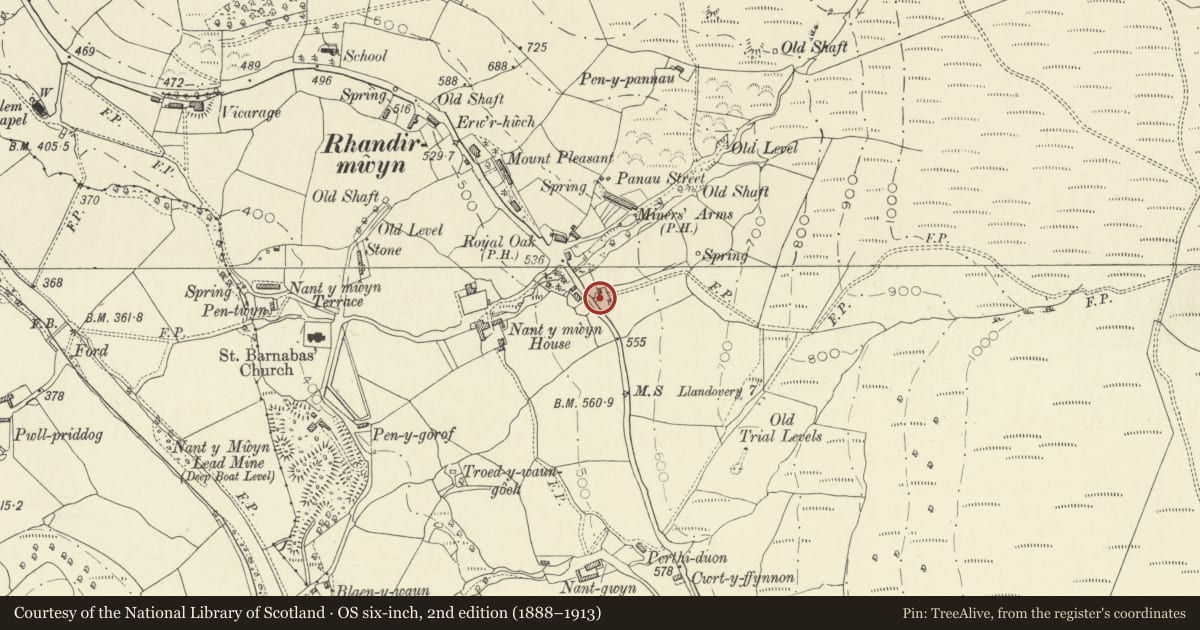 Ordnance Survey six-inch map, 2nd edition (1888–1913) covering the location of The Pound, Llanfair-ar-y-Bryn, Carmarthenshire, with a pin at the register's coordinates