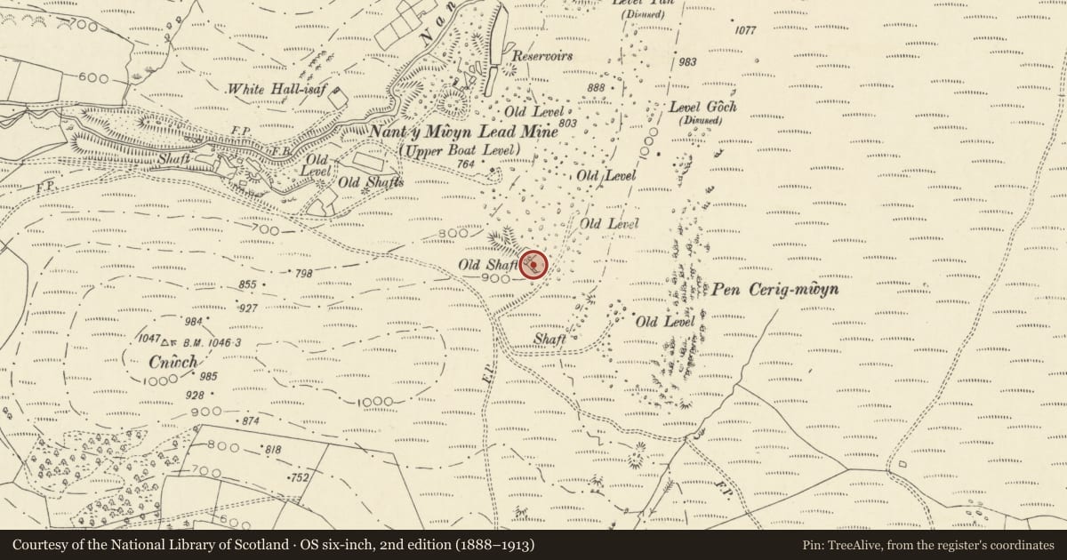 Ordnance Survey six-inch map, 2nd edition (1888–1913) covering the location of Engine house and chimney at Rhandirmwyn lead-mine, Llanfair-ar-y-Bryn, Carmarthenshire, with a pin at the register's coordinates