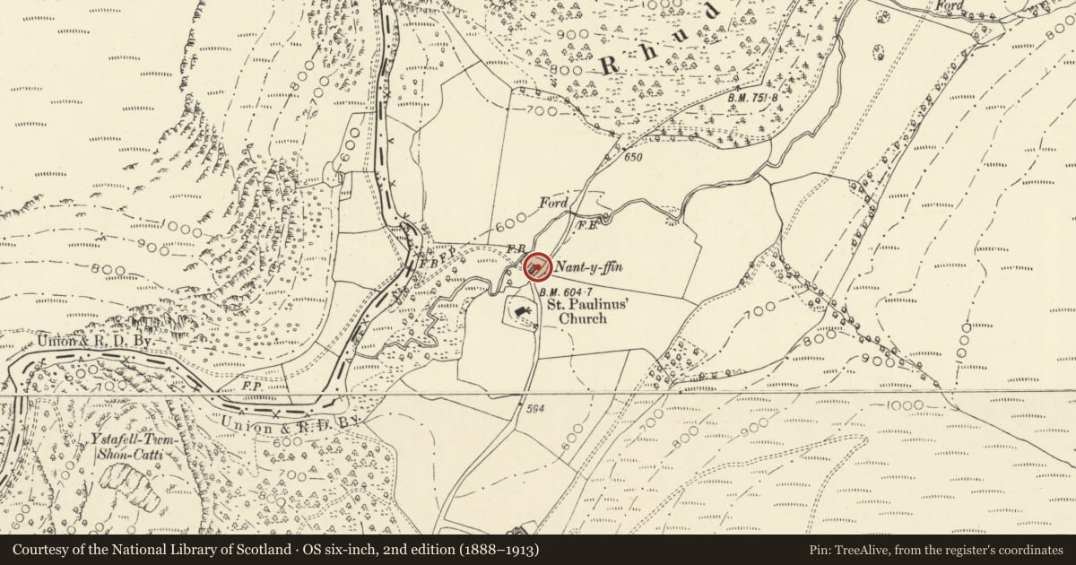 Ordnance Survey six-inch map, 2nd edition (1888–1913) covering the location of Nantyffin, Llanfair-ar-y-Bryn, Carmarthenshire, with a pin at the register's coordinates