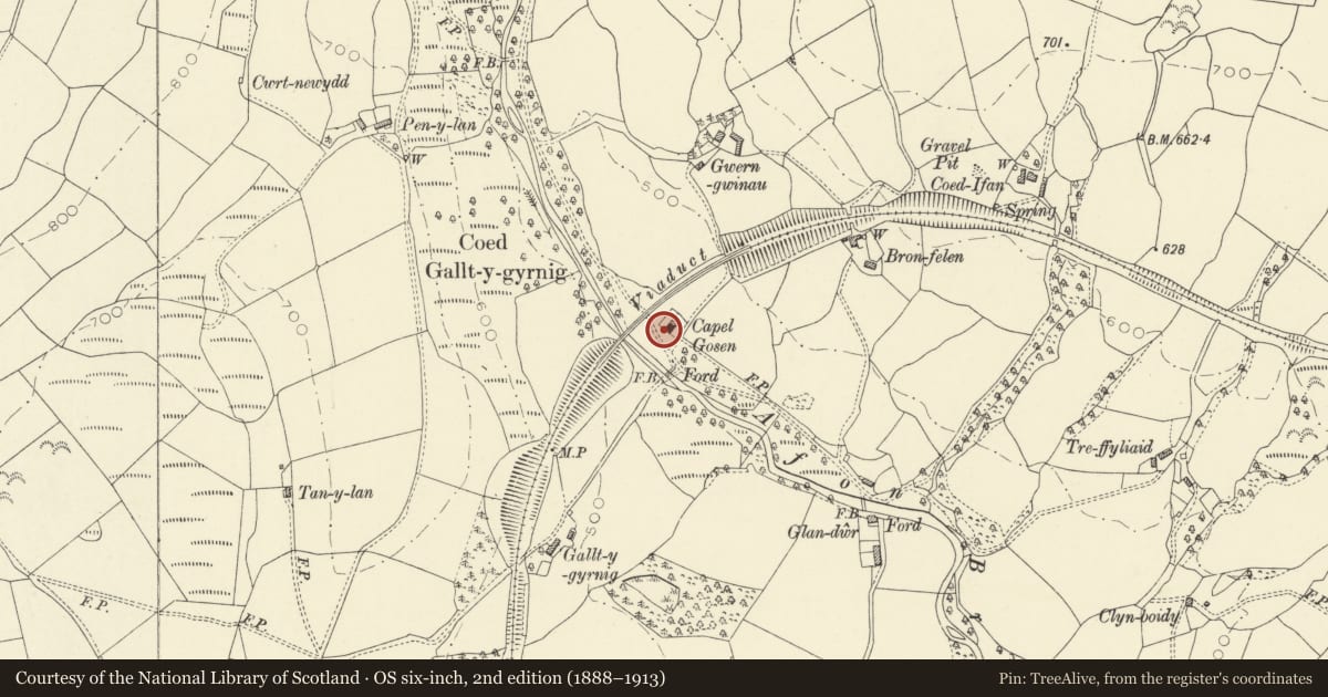 Ordnance Survey six-inch map, 2nd edition (1888–1913) covering the location of Tawelfan, Llanfair-ar-y-Bryn, Carmarthenshire, with a pin at the register's coordinates