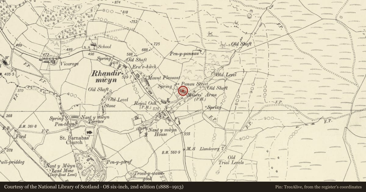 Ordnance Survey six-inch map, 2nd edition (1888–1913) covering the location of 3 Pannau Street, Llanfair-ar-y-Bryn, Carmarthenshire, with a pin at the register's coordinates