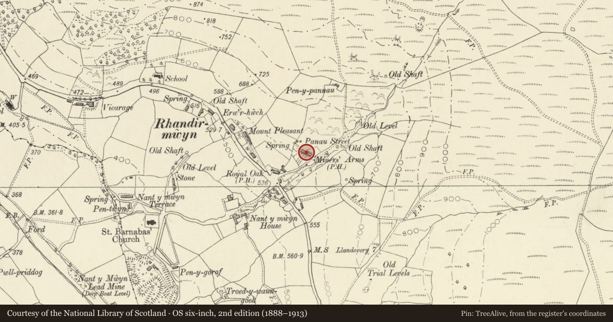 Ordnance Survey six-inch map, 2nd edition (1888–1913) covering the location of 5 Pannau Street, Llanfair-ar-y-Bryn, Carmarthenshire, with a pin at the register's coordinates