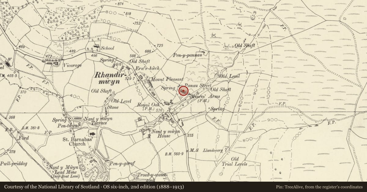 Ordnance Survey six-inch map, 2nd edition (1888–1913) covering the location of 7 Pannau Street, Llanfair-ar-y-Bryn, Carmarthenshire, with a pin at the register's coordinates