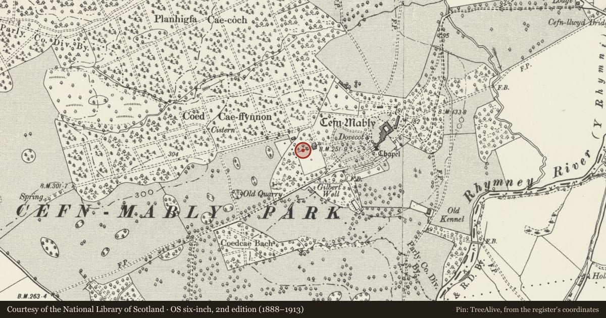Ordnance Survey six-inch map, 2nd edition (1888–1913) covering the location of Walls of former kitchen garden at Cefn Mably, Rudry, Caerphilly, with a pin at the register's coordinates