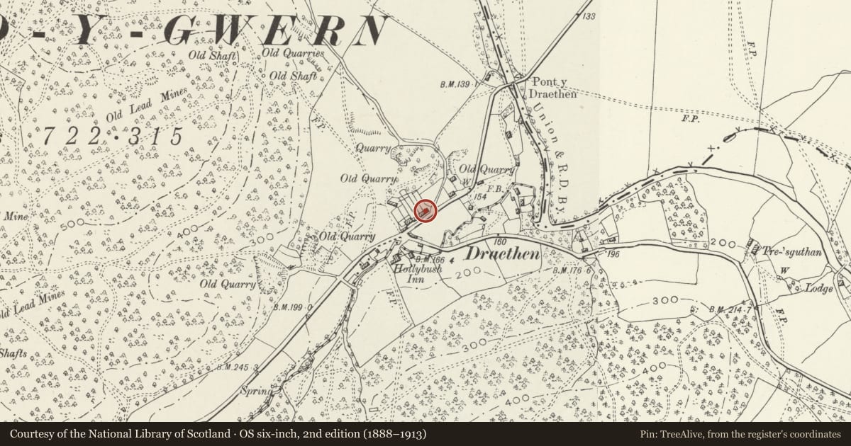 Ordnance Survey six-inch map, 2nd edition (1888–1913) covering the location of Willow Cottage, Rudry, Caerphilly, with a pin at the register's coordinates