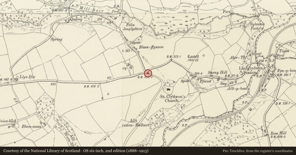 Ordnance Survey six-inch map, 2nd edition (1888–1913) covering the location of Archway to drive, Dolwilym, Cilymaenllwyd, Carmarthenshire, with a pin at the register's coordinates
