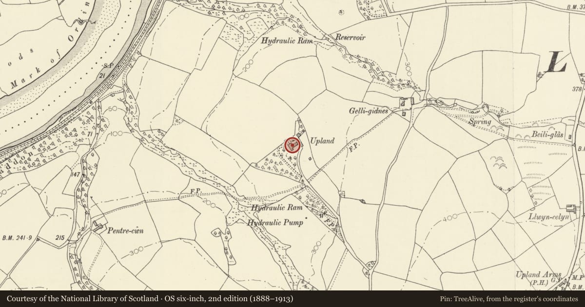 Ordnance Survey six-inch map, 2nd edition (1888–1913) covering the location of Upland, Llandyfaelog, Carmarthenshire, with a pin at the register's coordinates