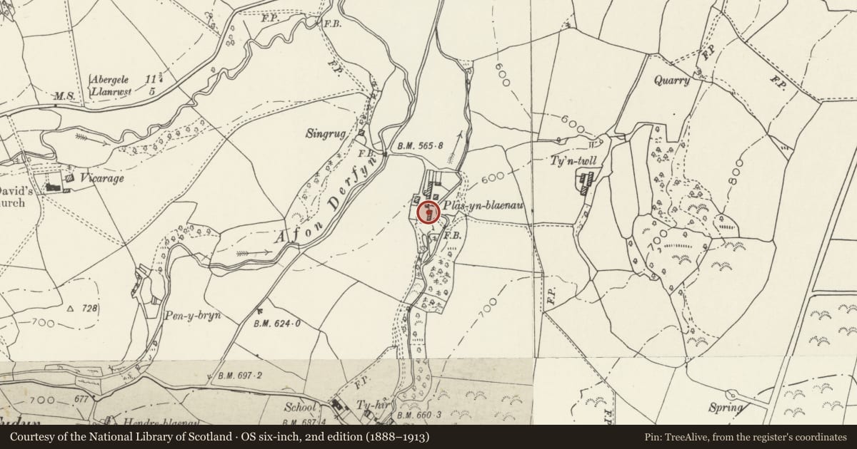 Ordnance Survey six-inch map, 2nd edition (1888–1913) covering the location of Cow Byres and external stone stair at Plas yn Blaenau, Llangernyw, Conwy, with a pin at the register's coordinates