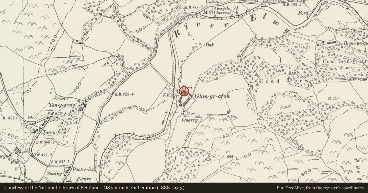 Ordnance Survey six-inch map, 2nd edition (1888–1913) covering the location of Pigs Sties, Shelter Shed, Hay Loft, Shed and Stockyard Walls at Glan yr Afon, Llangernyw, Conwy, with a pin at the register's coordinates