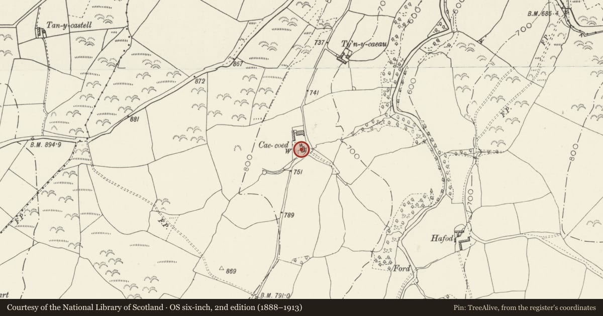 Ordnance Survey six-inch map, 2nd edition (1888–1913) covering the location of Cae Coed, Llangernyw, Conwy, with a pin at the register's coordinates