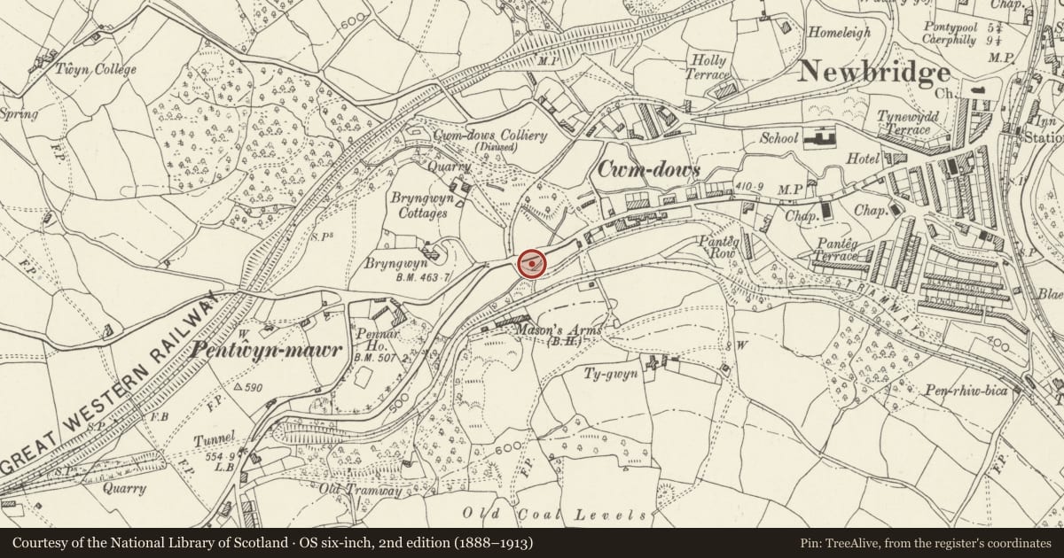 Ordnance Survey six-inch map, 2nd edition (1888–1913) covering the location of Preswylfa, Newbridge, Caerphilly, with a pin at the register's coordinates