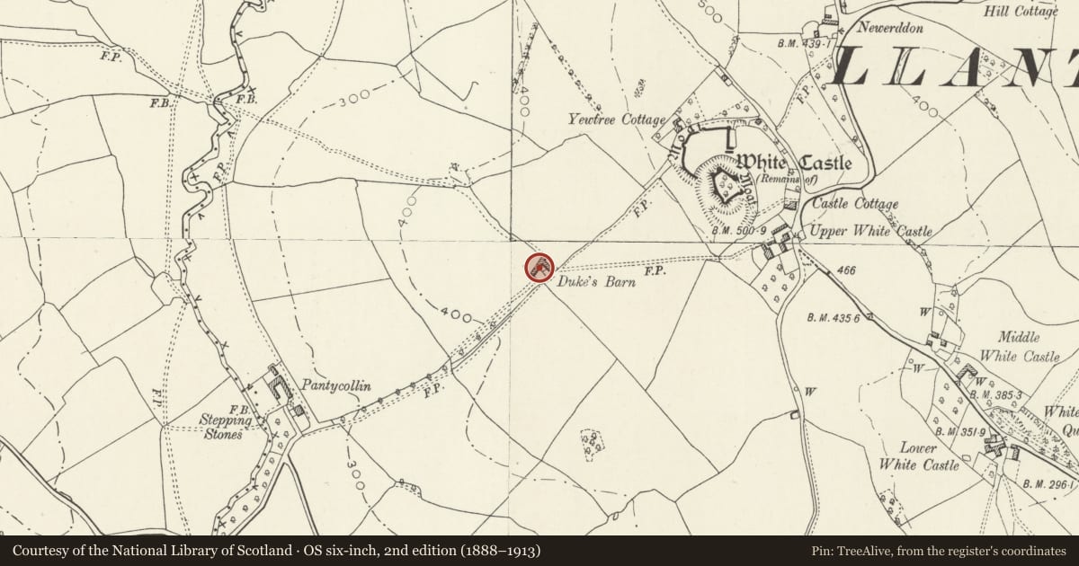 Ordnance Survey six-inch map, 2nd edition (1888–1913) covering the location of Duke's Barn, Whitecastle, Monmouthshire, with a pin at the register's coordinates