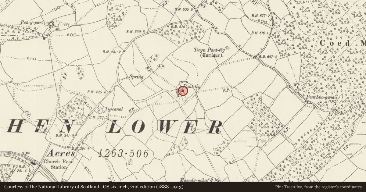 Ordnance Survey six-inch map, 2nd edition (1888–1913) covering the location of Panteg Farmhouse, Graig, Newport, with a pin at the register's coordinates