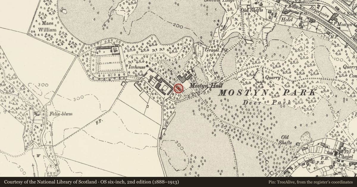 Ordnance Survey six-inch map, 2nd edition (1888–1913) covering the location of Porth Mawr, Mostyn Hall, Flintshire, with a pin at the register's coordinates