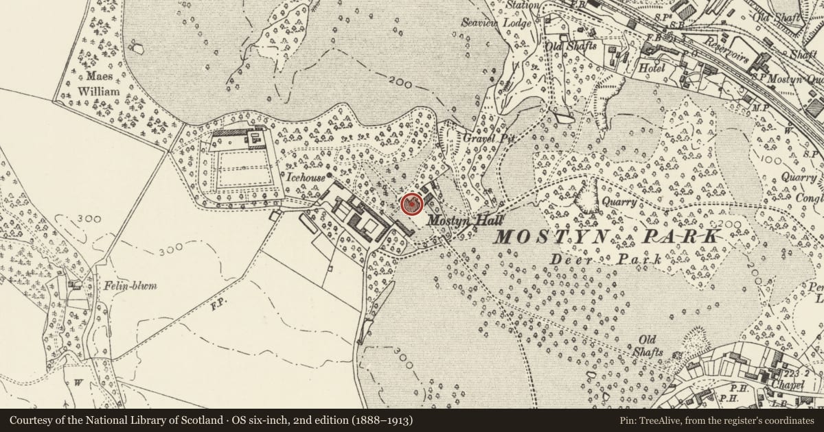 Ordnance Survey six-inch map, 2nd edition (1888–1913) covering the location of Mostyn Hall, Flintshire, with a pin at the register's coordinates