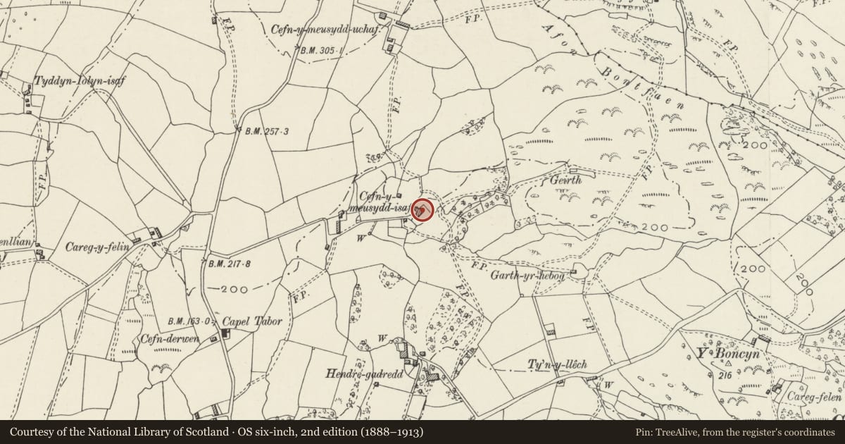 Ordnance Survey six-inch map, 2nd edition (1888–1913) covering the location of Cefn-y-meysydd isaf, Dolbenmaen, Gwynedd, with a pin at the register's coordinates