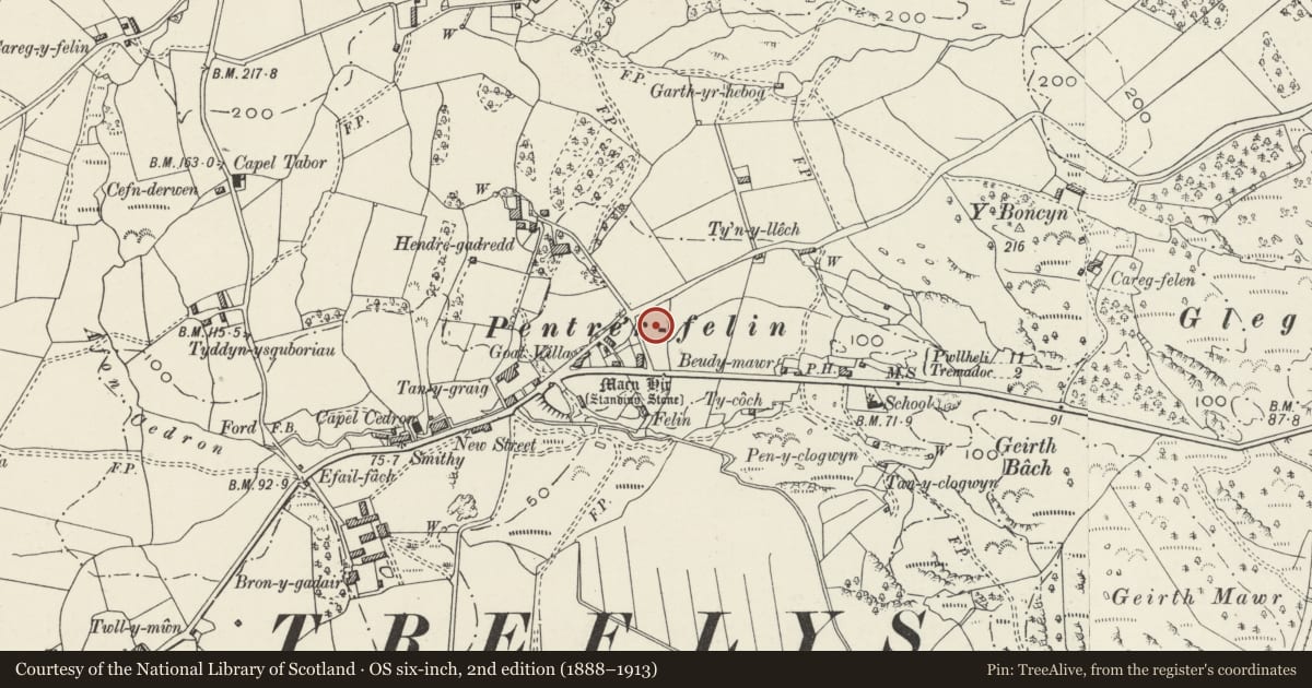 Ordnance Survey six-inch map, 2nd edition (1888–1913) covering the location of Pentrefelin Church Hall, Dolbenmaen, Gwynedd, with a pin at the register's coordinates