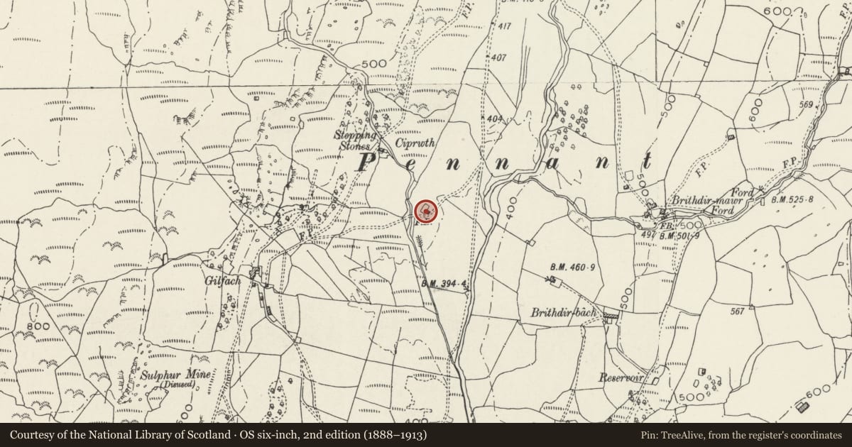 Ordnance Survey six-inch map, 2nd edition (1888–1913) covering the location of Field Cowhouse, Dolbenmaen, Gwynedd, with a pin at the register's coordinates