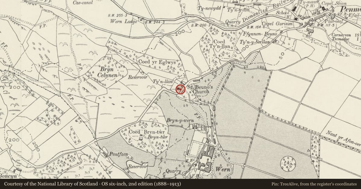 Ordnance Survey six-inch map, 2nd edition (1888–1913) covering the location of Chest Tomb in churchyard of the Church of St Beuno, Dolbenmaen, Gwynedd, with a pin at the register's coordinates