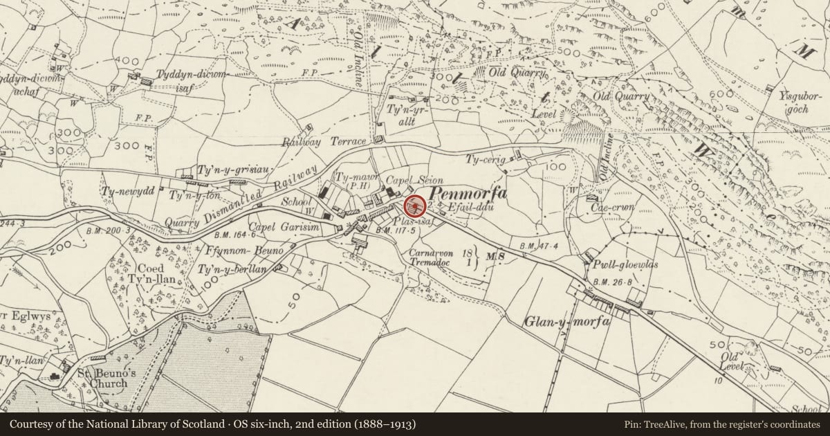 Ordnance Survey six-inch map, 2nd edition (1888–1913) covering the location of Plas-isa, Dolbenmaen, Gwynedd, with a pin at the register's coordinates