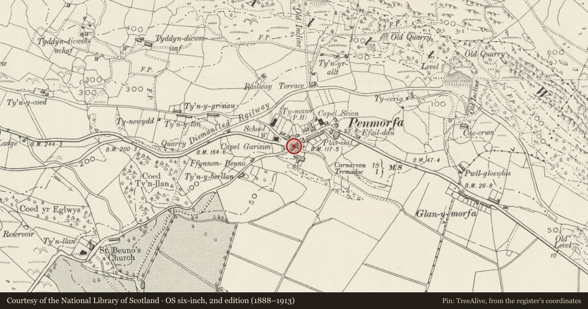 Ordnance Survey six-inch map, 2nd edition (1888–1913) covering the location of Bwlch-y-fedwen, Dolbenmaen, Gwynedd, with a pin at the register's coordinates
