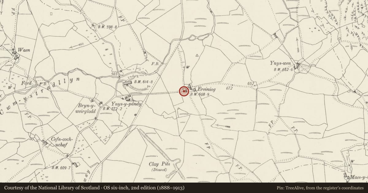 Ordnance Survey six-inch map, 2nd edition (1888–1913) covering the location of Farm Building at Ereiniog, Dolbenmaen, Gwynedd, with a pin at the register's coordinates