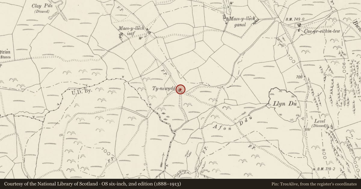 Ordnance Survey six-inch map, 2nd edition (1888–1913) covering the location of Ty-newydd, with attached walls, Dolbenmaen, Gwynedd, with a pin at the register's coordinates