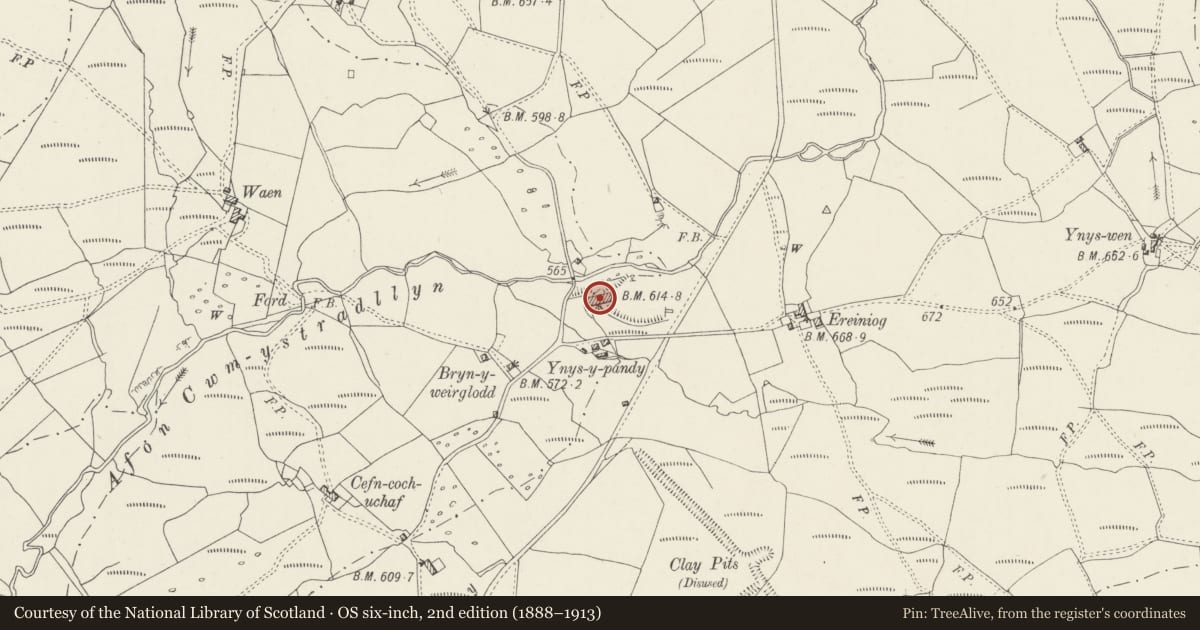 Ordnance Survey six-inch map, 2nd edition (1888–1913) covering the location of Ynys Pandy felin lechi, Dolbenmaen, Gwynedd, with a pin at the register's coordinates