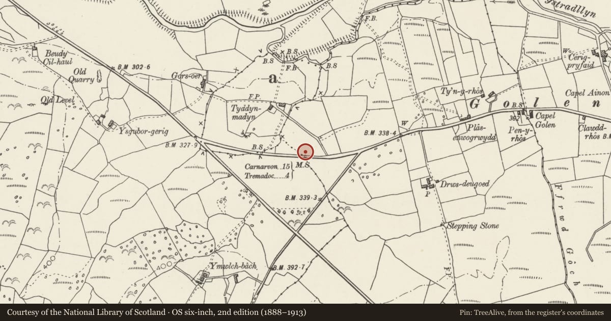 Ordnance Survey six-inch map, 2nd edition (1888–1913) covering the location of Milestone, Dolbenmaen, Gwynedd, with a pin at the register's coordinates