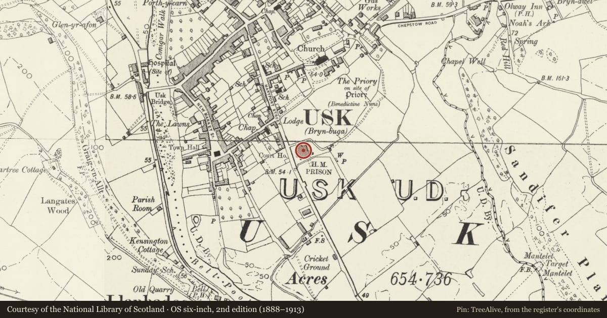 Ordnance Survey six-inch map, 2nd edition (1888–1913) covering the location of The Sessions House including balustraded terrace, Usk, Monmouthshire, with a pin at the register's coordinates