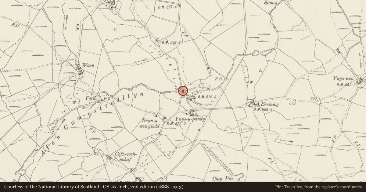Ordnance Survey six-inch map, 2nd edition (1888–1913) covering the location of Pont y pandy, Dolbenmaen, Gwynedd, with a pin at the register's coordinates