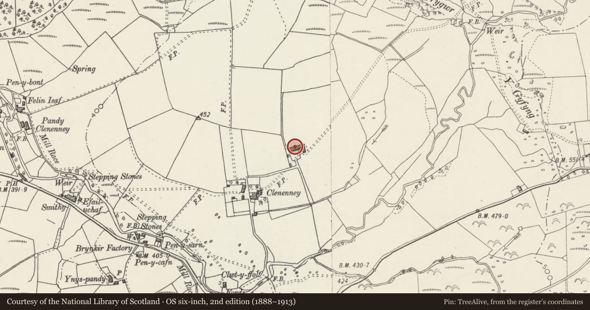 Ordnance Survey six-inch map, 2nd edition (1888–1913) covering the location of Outfield yard group at Clenennau, Dolbenmaen, Gwynedd, with a pin at the register's coordinates
