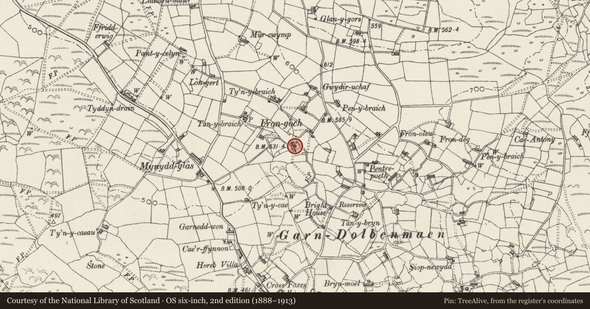 Ordnance Survey six-inch map, 2nd edition (1888–1913) covering the location of Garreg lwyd Cottage, Dolbenmaen, Gwynedd, with a pin at the register's coordinates