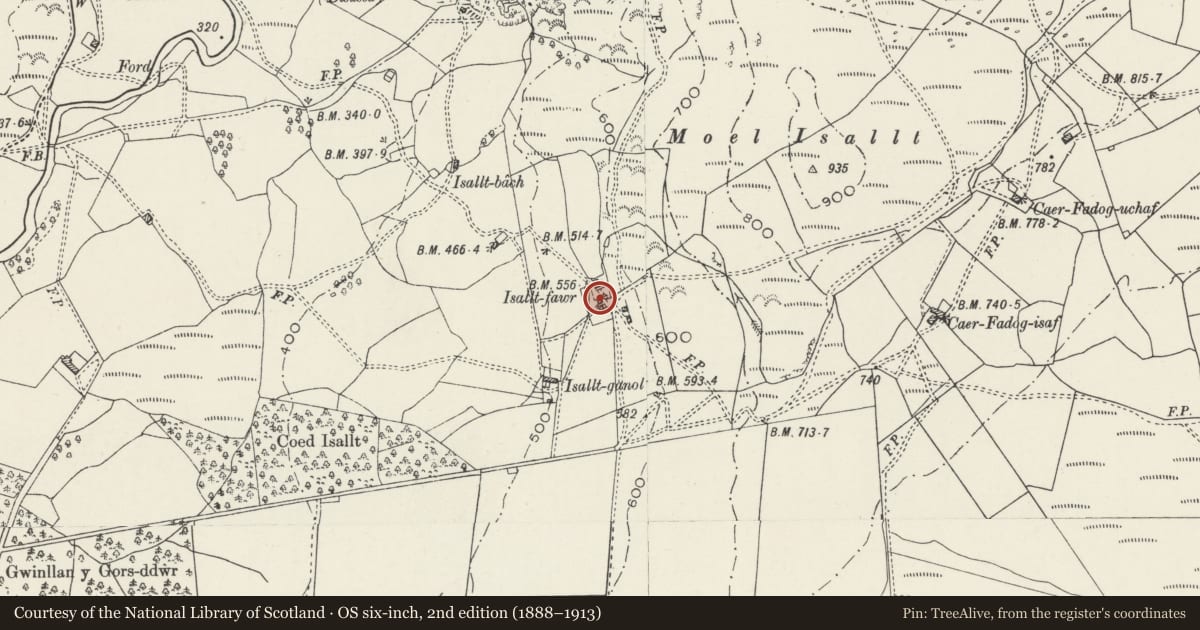 Ordnance Survey six-inch map, 2nd edition (1888–1913) covering the location of Carthouse, Stable and Granary at Isallt-fawr, Dolbenmaen, Gwynedd, with a pin at the register's coordinates
