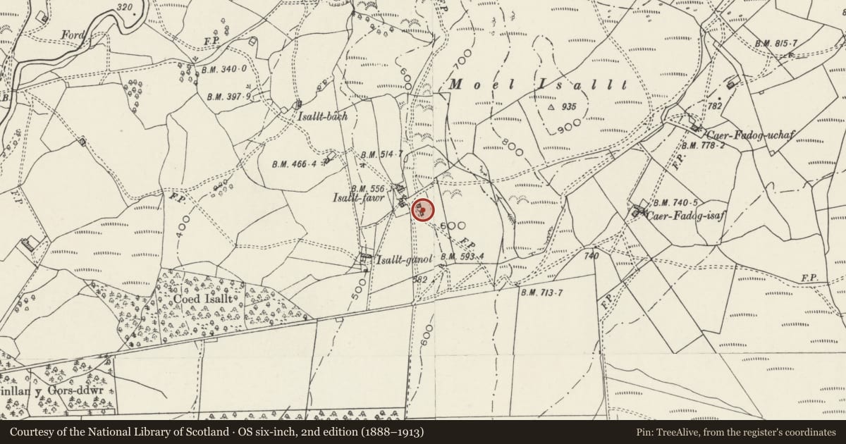 Ordnance Survey six-inch map, 2nd edition (1888–1913) covering the location of Cowhouse at Isallt-fawr, Dolbenmaen, Gwynedd, with a pin at the register's coordinates
