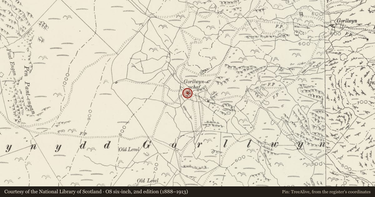 Ordnance Survey six-inch map, 2nd edition (1888–1913) covering the location of Gorllwynuchaf, Dolbenmaen, Gwynedd, with a pin at the register's coordinates