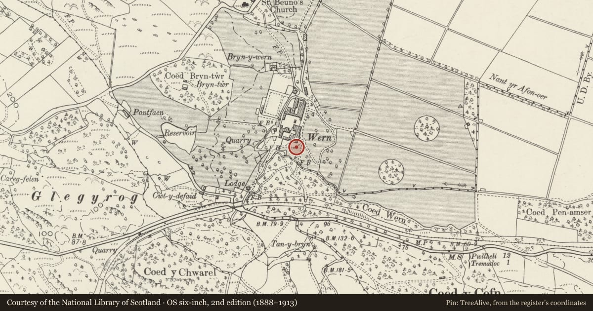 Ordnance Survey six-inch map, 2nd edition (1888–1913) covering the location of Front Terrace, Balustrade and Steps at Wern Manor, Dolbenmaen, Gwynedd, with a pin at the register's coordinates