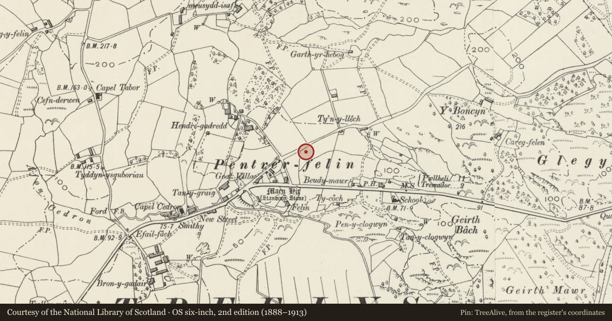 Ordnance Survey six-inch map, 2nd edition (1888–1913) covering the location of Llys Cynhaearn, Dolbenmaen, Gwynedd, with a pin at the register's coordinates
