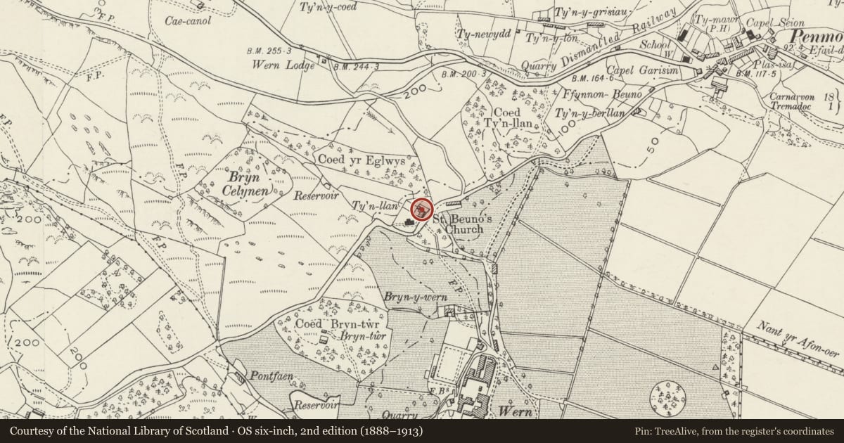 Ordnance Survey six-inch map, 2nd edition (1888–1913) covering the location of Tyn-llan, Dolbenmaen, Gwynedd, with a pin at the register's coordinates
