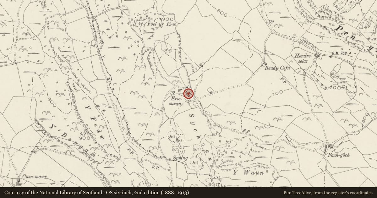 Ordnance Survey six-inch map, 2nd edition (1888–1913) covering the location of Erwsuran, Dolbenmaen, Gwynedd, with a pin at the register's coordinates