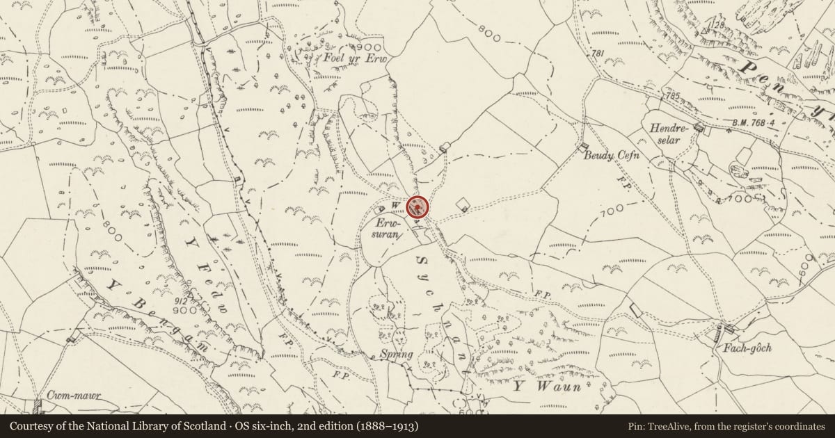 Ordnance Survey six-inch map, 2nd edition (1888–1913) covering the location of Outbuildings at Erwsuran, Dolbenmaen, Gwynedd, with a pin at the register's coordinates