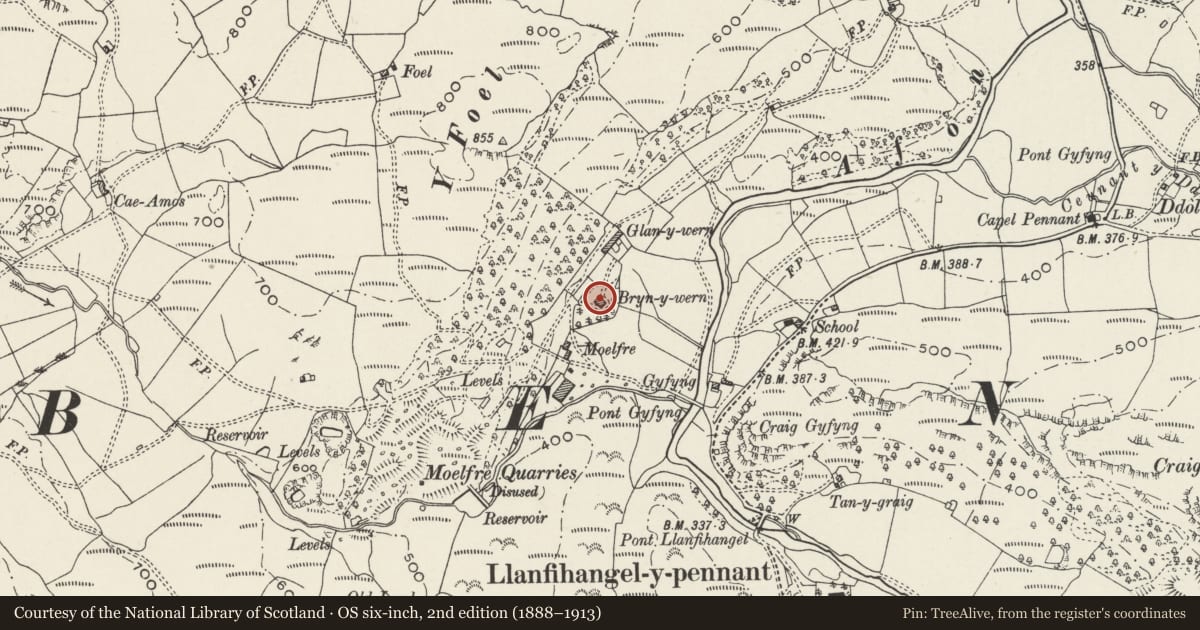Ordnance Survey six-inch map, 2nd edition (1888–1913) covering the location of Bryn-wern, Dolbenmaen, Gwynedd, with a pin at the register's coordinates