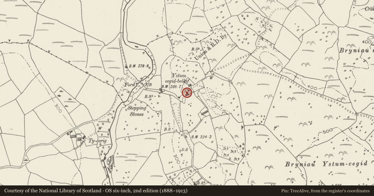 Ordnance Survey six-inch map, 2nd edition (1888–1913) covering the location of Farm Building and Granary at Ystumcegid, Dolbenmaen, Gwynedd, with a pin at the register's coordinates