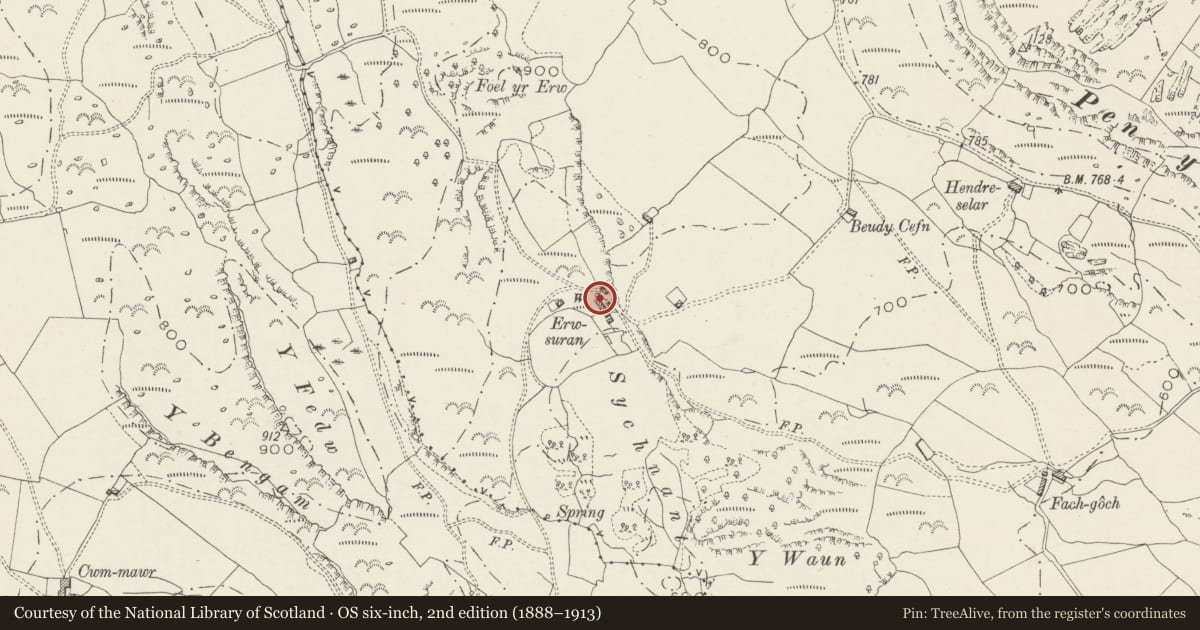 Ordnance Survey six-inch map, 2nd edition (1888–1913) covering the location of Outbuilding in line with the house at Erwsuran, Dolbenmaen, Gwynedd, with a pin at the register's coordinates