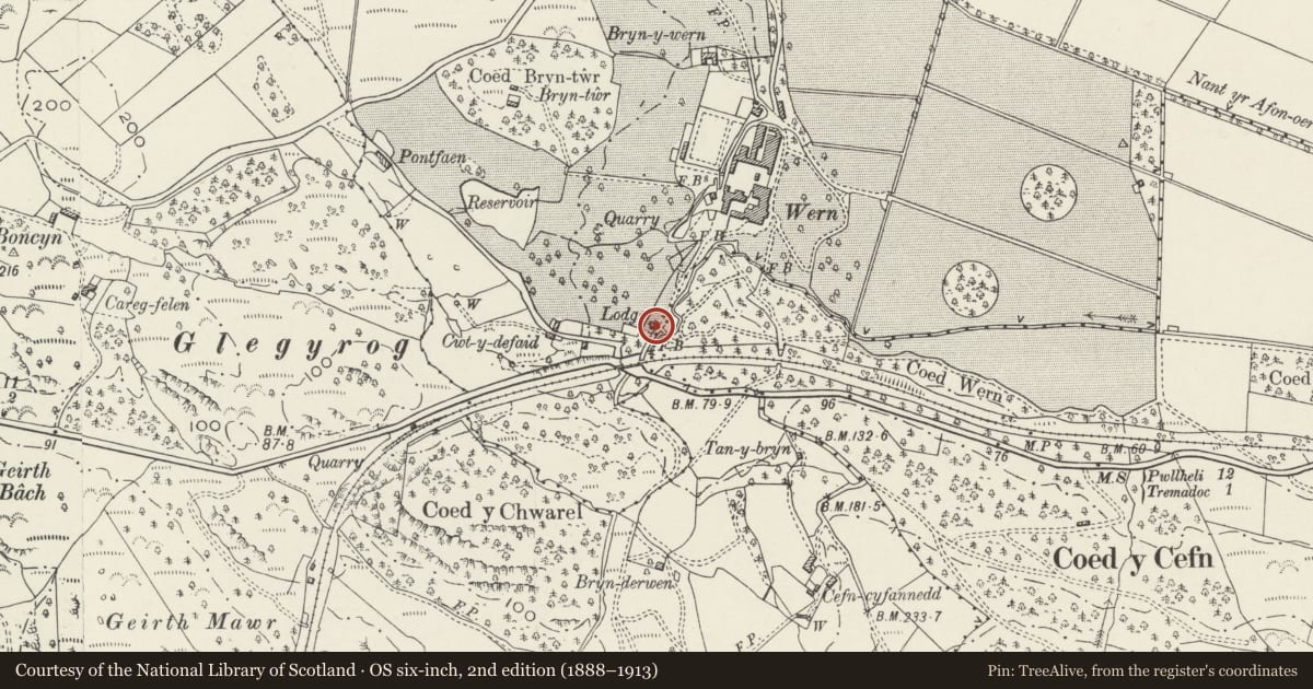 Ordnance Survey six-inch map, 2nd edition (1888–1913) covering the location of Gates to Wern Manor, Dolbenmaen, Gwynedd, with a pin at the register's coordinates