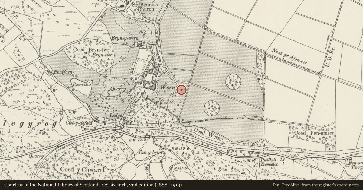 Ordnance Survey six-inch map, 2nd edition (1888–1913) covering the location of Ornamental Garden Pool at Wern Manor, Dolbenmaen, Gwynedd, with a pin at the register's coordinates