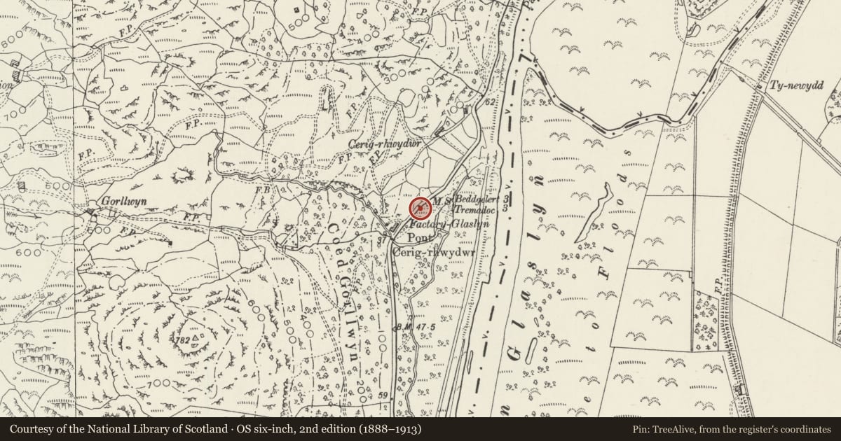Ordnance Survey six-inch map, 2nd edition (1888–1913) covering the location of Milestone, Dolbenmaen, Gwynedd, with a pin at the register's coordinates