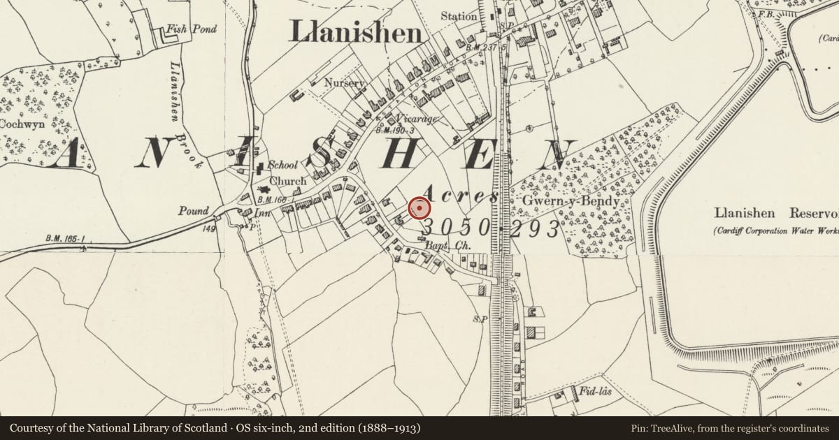 Ordnance Survey six-inch map, 2nd edition (1888–1913) covering the location of Century Methodist Church, Llanishen, Cardiff, with a pin at the register's coordinates