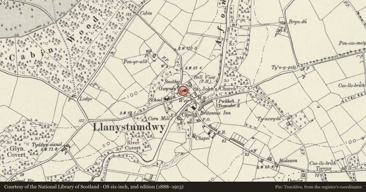 Ordnance Survey six-inch map, 2nd edition (1888–1913) covering the location of Churchyard Wall and Lychgate to the Church of St John the Baptist, Llanystumdwy, Gwynedd, with a pin at the register's coordinates