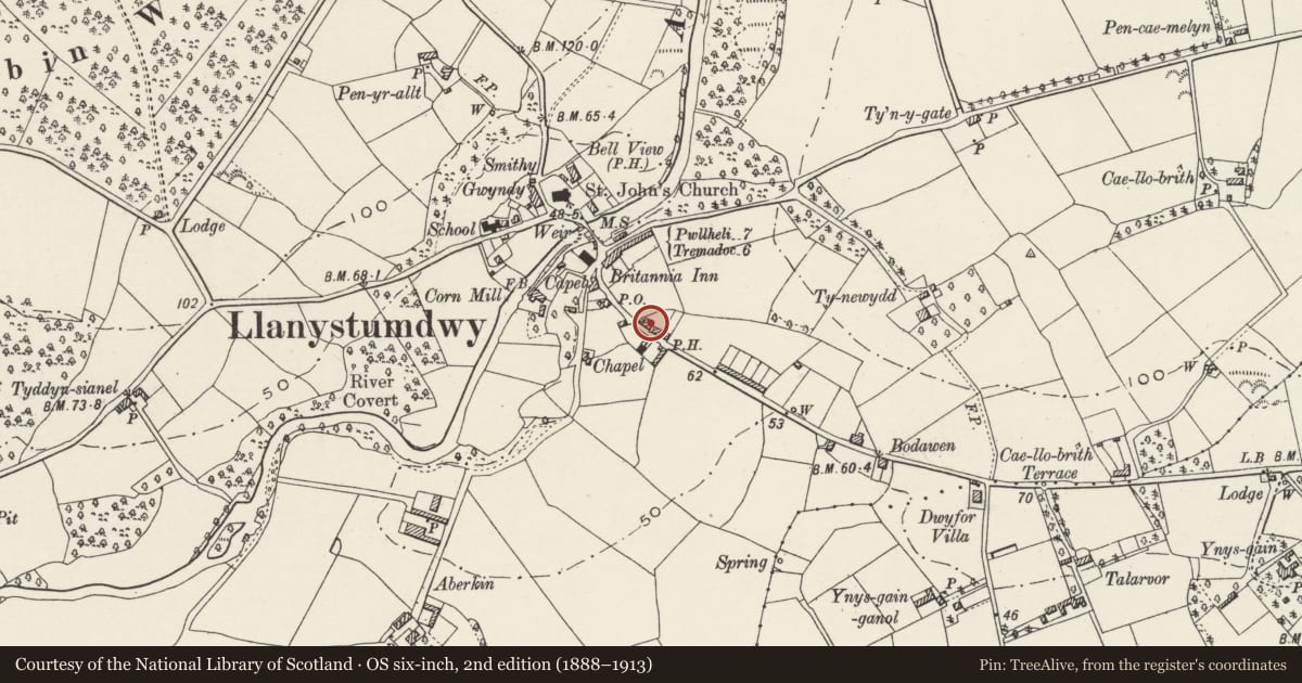 Ordnance Survey six-inch map, 2nd edition (1888–1913) covering the location of Tai Newyddion, Llanystumdwy, Gwynedd, with a pin at the register's coordinates